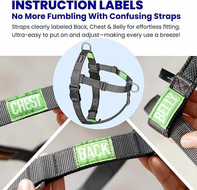 Freedom No Pull Dog Harness for Large Dogs, Easy Walker, Front Clip, Anti Pull with Two Stainless D-Rings, Comfortable, Sewn-in Instructions Tags for Easy Use (Black, XXL)