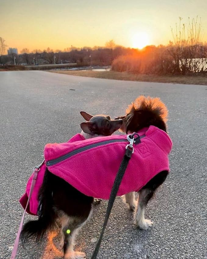 Gooby Boys X-Small Chest (~11 Inch) Zip Up Fleece, Turquoise, X-Small 11 US