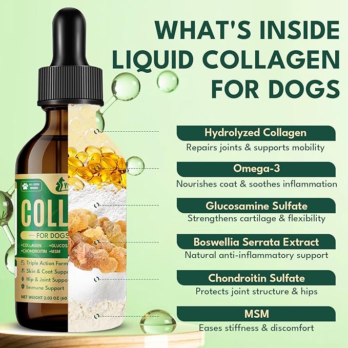 Liquid Collagen for Dogs, Natural Dog Collagen for Skin & Coat Support, Immune Support, Joint & Mobility Care with MSM, Middle-Aged and Older Dogs (Bacon Flavor - 60ml 2 Pack)