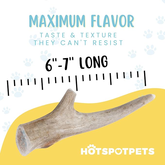 hotspot pets Deer Antlers for Dogs - 7+ Inch Large Dog Antler Chews Naturally Shed Antler Bone (4 Pack) for Large Breed Aggressive Chewers - Sourced in USA -Promotes Dental Hygiene- Rich in Calcium