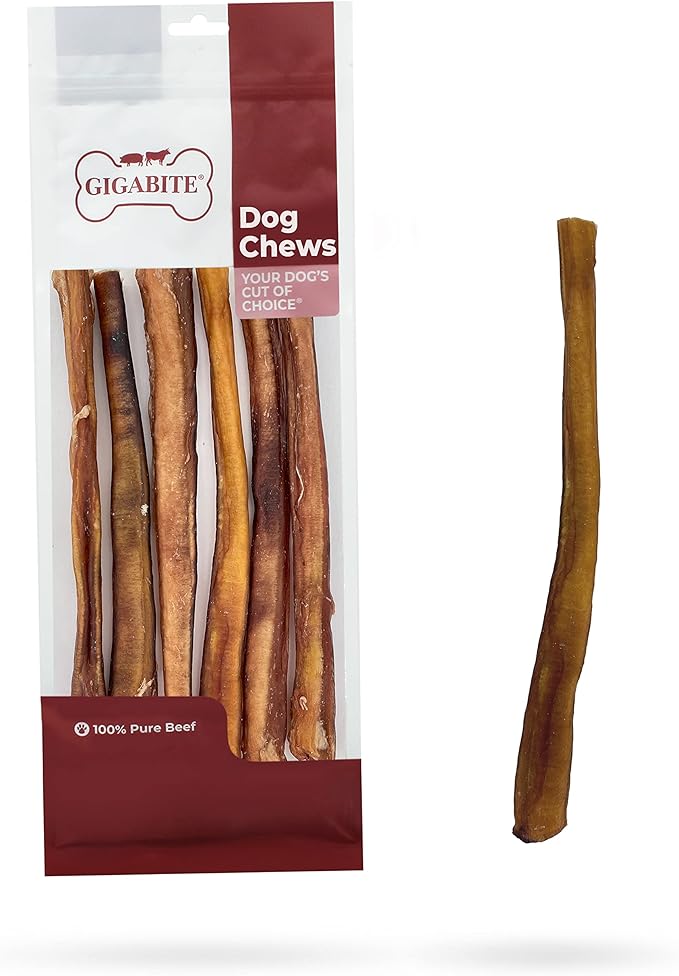 GigaBite Bully Sticks for Dogs All Natural Beef Pizzle Dog Chews, Odor & Rawhide Free Dog Treats, Long Lasting High Protein Chews Digestible Dental Dog Treat - Sticks (Premium 12"), Pack of 6