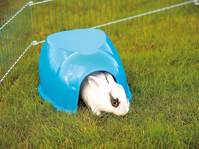 Lixit Igloos and Hideaways for Guinea Pigs, Rats, Mice, Hamsters, Gerbils and Other Small Animals (Large)
