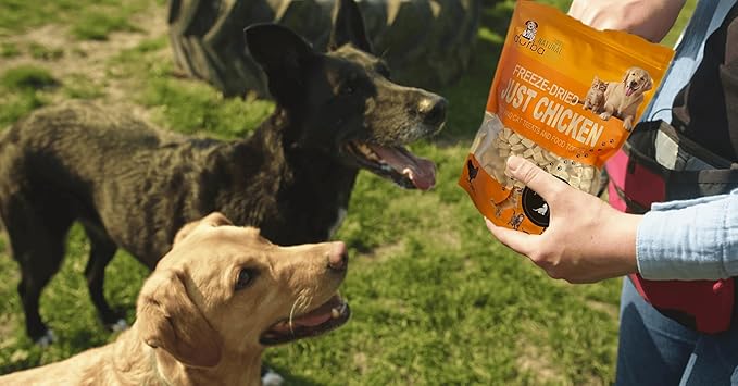 Freeze Dried Super Booster Chicken Bites for Dogs and Cats | Grain-Free, Protein-Packed Training Treats, Great Food Topper, Irresistible for Picky Eaters (5.1 oz (~145g), Just Chicken (Large Pack))