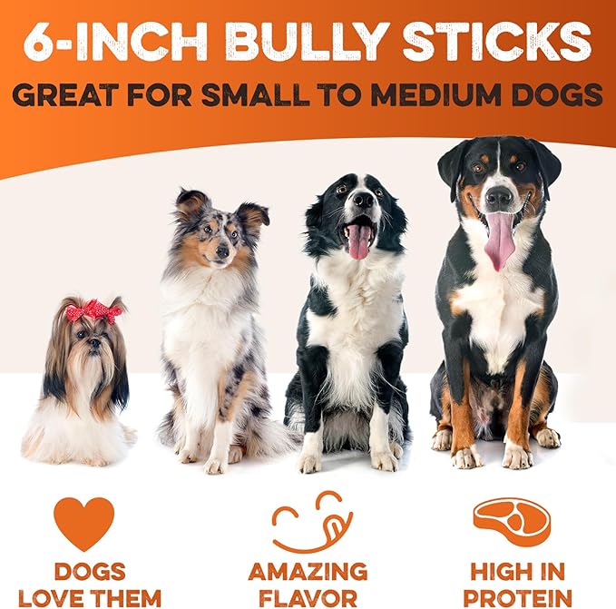 BRUTUS & BARNABY 6 Inch Bully Sticks for Dogs (50 Count) - Natural Grass-Fed Beef Chew Sticks, Odor Free, Single Ingredient, Fully Digestible, Rawhide Free - Bulk Pack for Small, Medium & Large Dogs