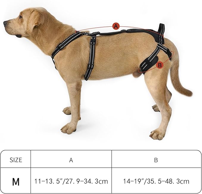 COODEO Professional Dog Sling for Hind Leg Support - Aid for Post-ACL/TPLO Surgery & Senior Dogs, Secure,Breathable & Machine-Washable with Reflective Edging for Safe Walks (Black, M)