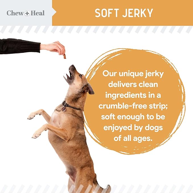 Chew + Heal Labs Omega Salmon Jerky - Soft & Healthy Dog Treats for Skin & Coat Health - 5 oz Wild-Caught Alaskan Salmon Treats & Jerky for Dogs - Made in USA