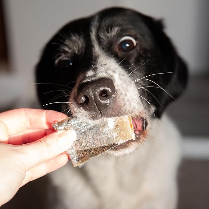 SKIPPER'S Salmon Skin Snacks Dog Treats - Gently Air Dried 100% Salmon Skin Chews, Great for Cleaning Teeth, Essential Omega 3 Oil, Hypoallergenic, Wheat & Gluten Free Fish Treat for Dogs | (3.52 Oz)