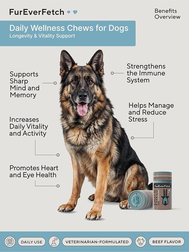 Senior Dogs Vitamin Treats: Brain Function, Longevity, Immune Health, Overall Vitality & Vision in Aging Dogs. Enriched with Breakthrough Active Ingredients (30 Days Supply)