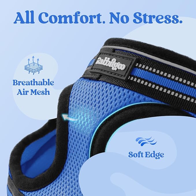 rabbitgoo Cat Harness and Leash Set for Walking Escape Proof, Adjustable Soft Kittens Vest with Reflective Strip for Cats, Comfortable Outdoor Vest, Blue, XL