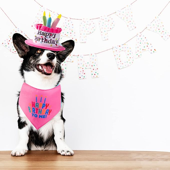 Puppy and Cat Happy Birthday Cake Hat & Bandana Scarfs Set with Colorful Candles Pink for Small Animas, Cat Birthday Party Supplies Decorations