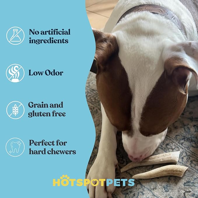 hotspot pets Premium Deer Antler for Dogs -(6 Pack) 4-7 Inch Long Lasting Dog Chews,Naturally Shed Deer Antler Bones for Small & Medium Breed Aggressive Chewers - Sourced in USA