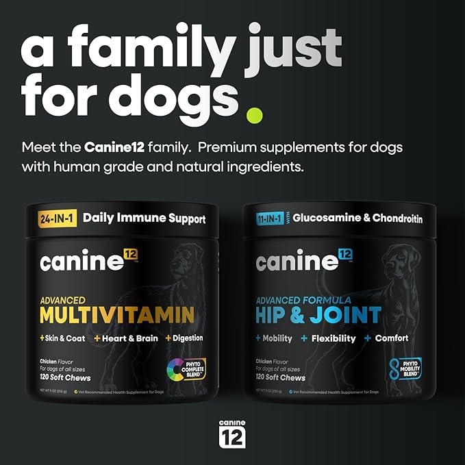 Dog Hip and Joint Supplement with Glucosamine, Chondroitin, MSM, Omega 3s, Green Lipped Mussel – Premium Dog Joint Chews w/Human-Grade & Natural Ingredients, 120 Count