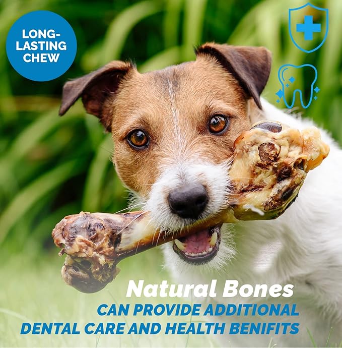 123 Treats Dog Bone for Aggressive Chewers - 100% Natural Pork & Beef Flavored Meaty Dog Chews, Made from Grass Fed Cattle, Grain Free Femur Bone | 1 Count