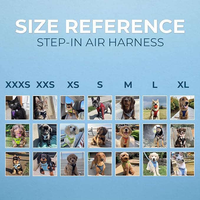 Voyager Step-in Pet Harness - All Weather Mesh, Adjustable Step in Harness for Cats and Dogs by Best Pet Supplies - 307S Orange, M