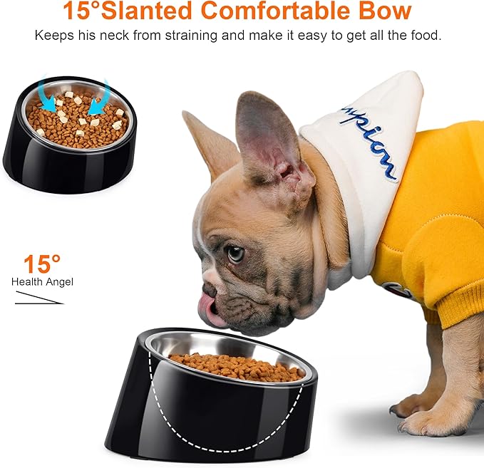 Tilted Dog Bowl Non-Slip & Non-Spill Pet Feeder with Elevated Detachable Melamine Stand, Easy to Get Food Dog Dish, L/300ml Black