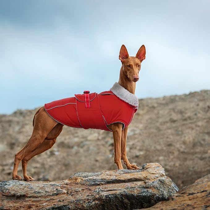 Lelepet Warm Dog Coat Waterproof Dog Jacket Reflective Fleece Vest with Adjustable Buckle Hook & Loop, Windproof Winter Jacket Dogs Coats for Small Medium Large Dogs, Red, XL