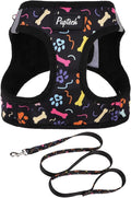 PUPTECK Dog Harness and Leash Set for Small Medium Dogs No Pull Step-in Soft Mesh Puppy Cat Vest Harnesses Reflective at Night, Black Paw, XS