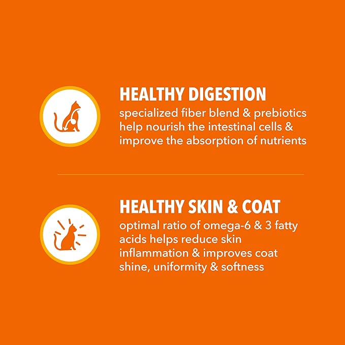 IAMS Proactive Health Dry Cat Food, Healthy Cat Food Dry Recipe for Adults, Salmon, 7 lb. Bag