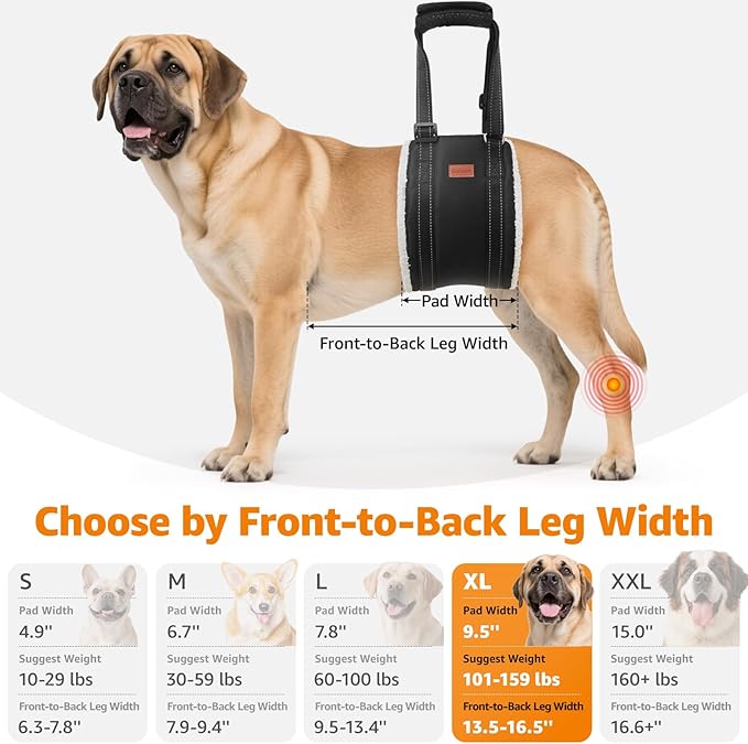 LOOBANI Dog Sling for Large Dogs Hind Leg Support, Portable Dog Lift Harness for Back Legs, Comfortable Leg Support Assistance for Elderly Dogs with Hip, ACL Brace, Senior, Injured