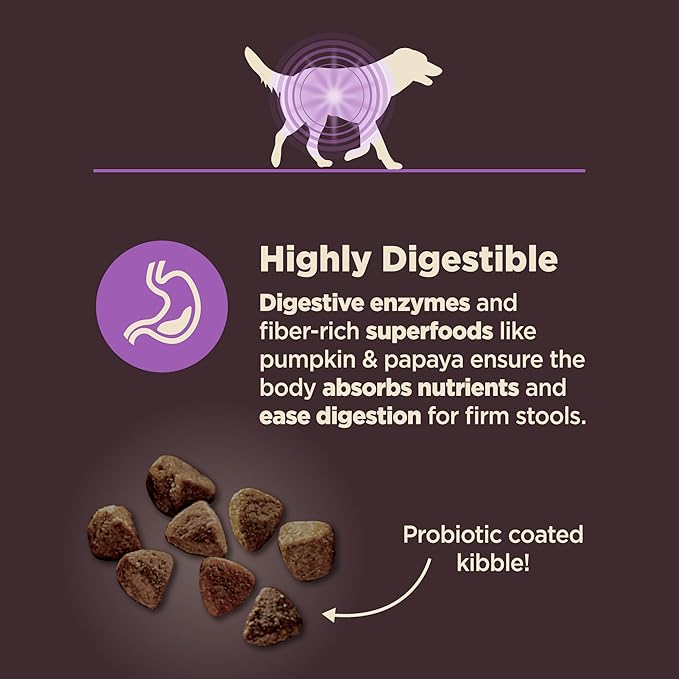 Wellness CORE Digestive Health Senior Dry Dog Food, Wholesome Grains, Natural, Recipe for Dogs with Sensitive Stomachs, Age Advantage Chicken & Brown Rice, (24-Pound Bag)