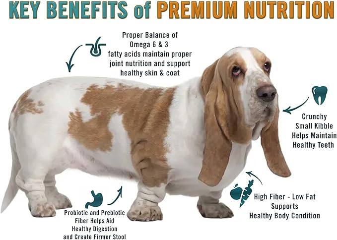 Chicken Soup for the Soul All Natural Premium Weight Care Adult Dry Dog Food, Real Meat First Ingredient, No By-Products, Hi Fiber/Low Fat Support Ideal Weight, Brown Rice, Chicken & Turkey, 28lb