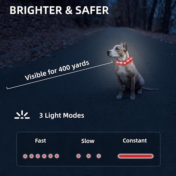 LED Dog Collar for XSmall Dogs & Toy Breeds – USB-C Rechargeable Light Up Dog Collar, Fully Waterproof Adjustable Glow Collar for Night Walking & Safety(Red,XS)