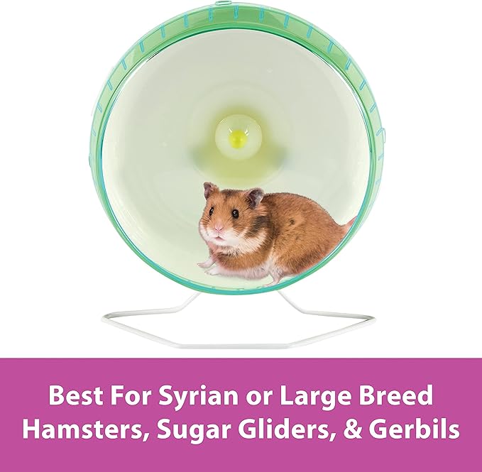 Kaytee Silent Spinner Wheel For Pet Syrian or Large Breed Hamsters, Sugar Gliders and Gerbils, Large 10 Inch (Colors May Vary)