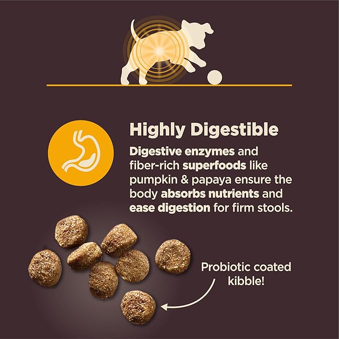 Wellness CORE Digestive Health Puppy Dry Dog Food, Wholesome Grains, Natural, Recipe for Dogs with Sensitive Stomachs, Recipe, (4-Pound Bag)