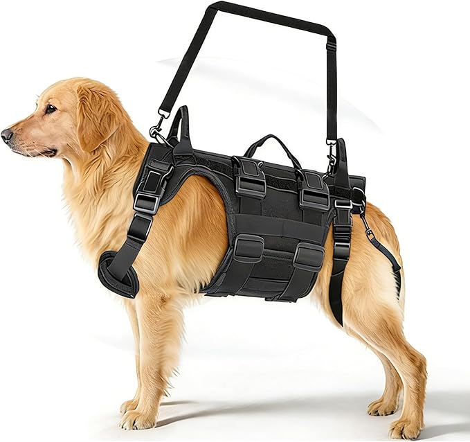 Large Dog Lift Support Harness with Handles, Hip Support Brace for Dogs, Full Body Assistance for Front & Rear Legs, Ideal for Senior & Injured Dogs (Black, M)