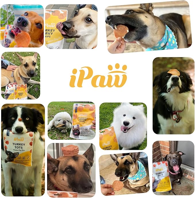 iPaw Turkey Chips Dog Treats for Puppy Training, All Natural Human Grade Dog Treat, Hypoallergenic, Easy to Digest (Turkey Chips)
