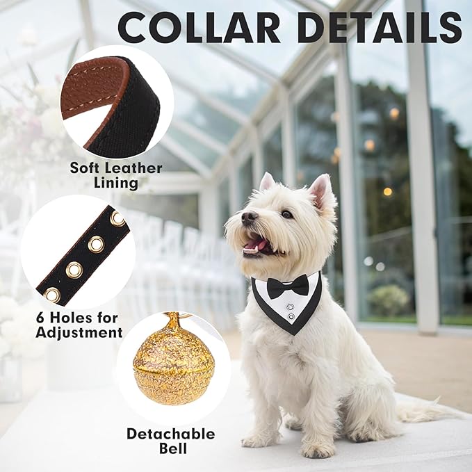 BINGPET Puppy Collar and Leash Set for Small Dogs, Dog Tuxedo Suit Wedding Bandana Collar with Bow Tie & Bell for Boy Dogs, Adjustable Formal Dog Tux Engagement Birthday Tuxedo, Black S