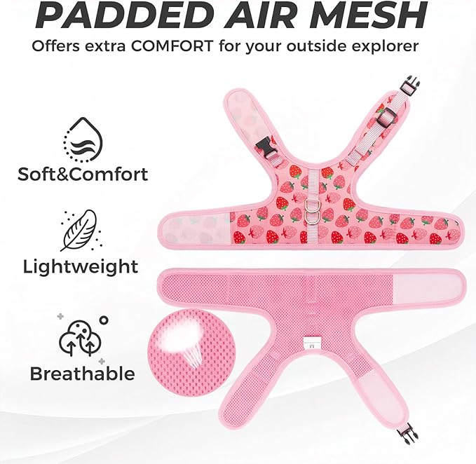 BINGPET Cat Harness and Leash Set Escape Proof, Fashionable Adjustable Mesh Harness for Walking, Soft Cute Breathable Easy Control Cat Vest for Kitten Puppy Small Medium Large Cats