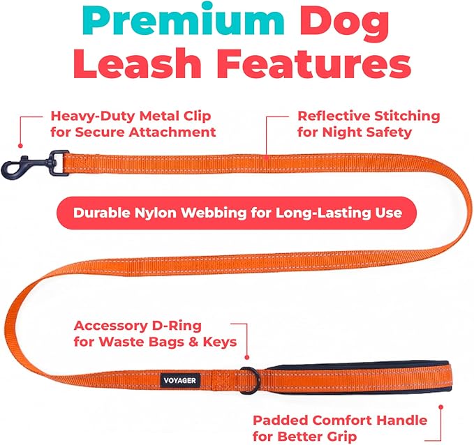 Best Pet Supplies Voyager Reflective Dog Leash or Collar with Neoprene Handle, for Small, Medium, and Large Breed Puppies, Cute and Heavy Duty for Walking, Running and Training - Orange (Leash), S