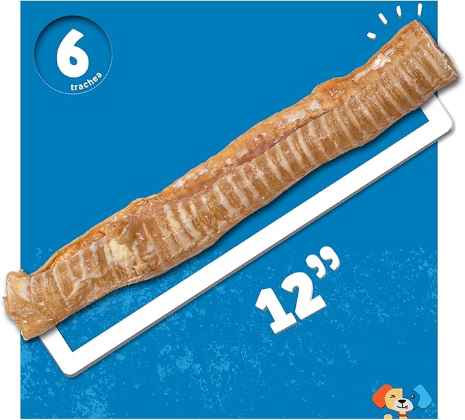 Jack&Pup 12" Beef Trachea for Dogs | All Natural Single Ingredient Dog Treat Dog Trachea Chews | Savory and Fun Treat for Dogs (6 Pack)