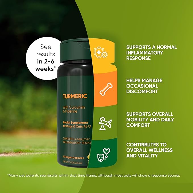 Rooted Owl Turmeric - Turmeric Supplement for Dogs and Cats - with Curcumin, Piperine and Vitamin C for Anti-Inflammatory Relief - 60/ct