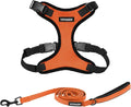 Best Pet Supplies Voyager Step-in Lock Pet Harness w Reflective Pet Leash Combo Set with Neoprene Handle 5ft - Supports Small, Medium and Large Breed Puppies/Cats - Orange/Black Trim Set, L