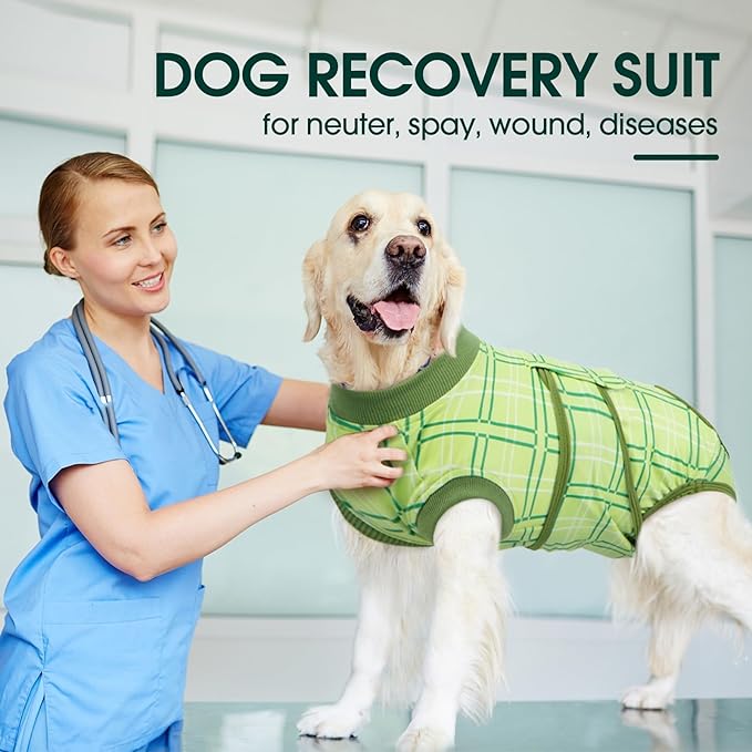 Kuoser Dog Recovery Suit for Female Male Dogs, Post-Surgery Bodysuit for Spay Neuter, Dog Onesie After Surgery, Anti-Licking Pet Surgical Recovery Suit, Green XXL