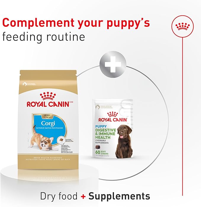 Royal Canin Corgi Puppy Dry Dog Food, Kibble for Corgis 2 to 12 Months, Supports Digestion and Bone and Joint Support 6 lb Bag