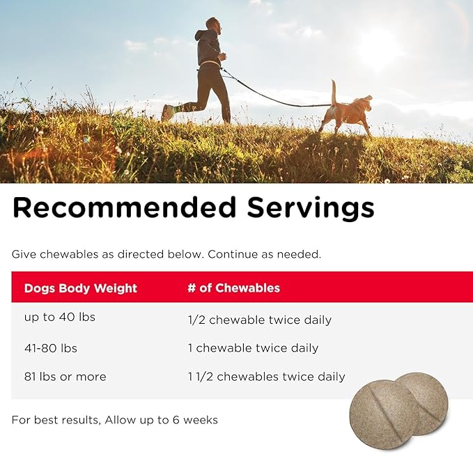Nutri-Vet Hip & Joint Regular Strength Chewable Dog Supplements, Formulated with Glucosamine Chondroitin, Pet Supplies, Joint Supplement for Dogs, Pet Care, Puppy Essentials, 120 Count