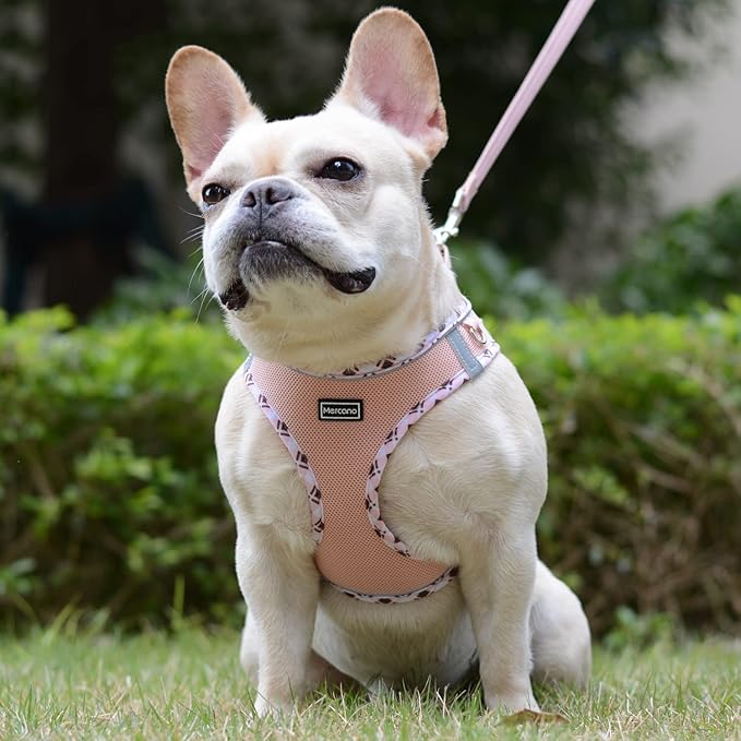 Mercano Soft Mesh Dog Harness and Leash Set, No-Chock Step-in Reflective Breathable Lightweight Easy Walk Vest Harnesses with Safety Buckle for Small Dogs, Cats (Champagne, S)