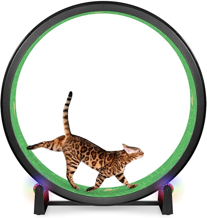 One Fast Cat - Cat Exercise Wheel - Gen. 7 - Safe 48" Diameter - Made in The USA - Black Wheel with Tropical Frogs Foam Traction Pads and Light-Up LED Inline Wheels