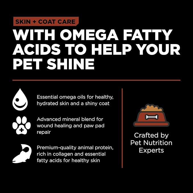 Go! Solutions Skin + Coat Care Salmon Large Breed Dry Dog Food with Grains, Chicken-Free, Healthy Kibble, Glucosamine & Chondroitin for Healthy Hips & Joints, for Adults & Seniors, 25 lb Bag