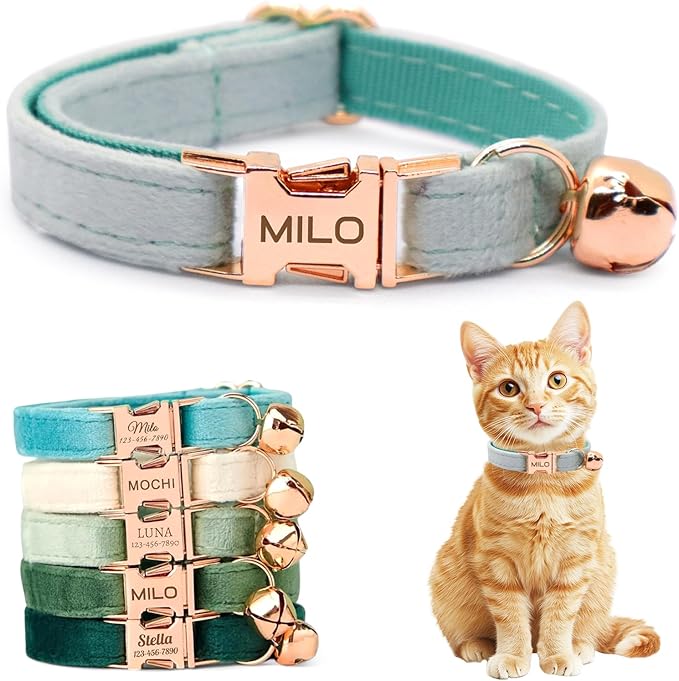 Personalized Non-Breakaway Cat Collar with Name, Luxury Soft Velvet Custom Engraved Name Collar with Bell for Kittens & Cats (Columbia Blue, S (6.5-10.5 inches))