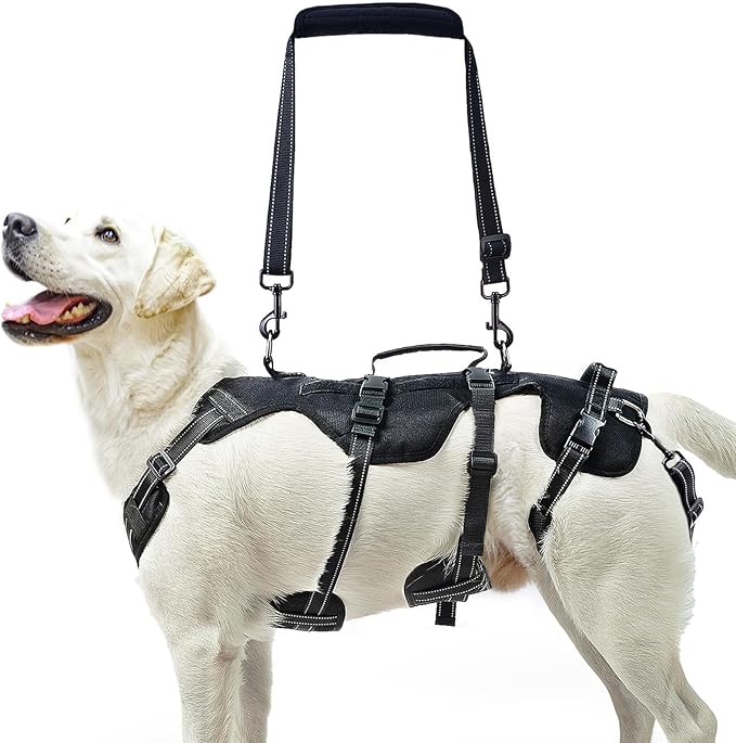 PUPTECK Dog Lift Harness for Medium Large Sized Dog, Rehabilitation Sling for Hind Leg Support, Multifunctional Mobility Assistance Harness for Old, Disabled, Joint Injuries, Paralysis Dog, Black XL