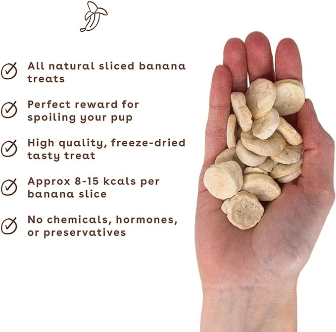 Pupford Freeze Dried Banana Chip Puppy & Dog Treats, Natural, Healthy, Low-Calorie Reward for Small, Medium, and Large Breed Dogs (6 oz)