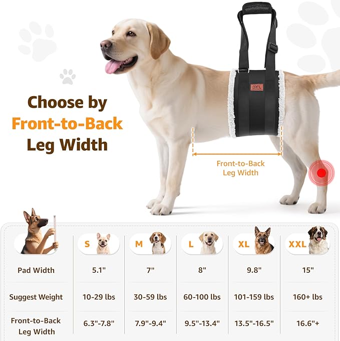 Adjustable Dog Lift Harness Dog Sling for Large Dogs Hind Leg Support Soft Lift Support and Rehab Harness for Weak Rear Legs, Helps Senior, Injured, Disabled and After ACL Surgery Dogs Large