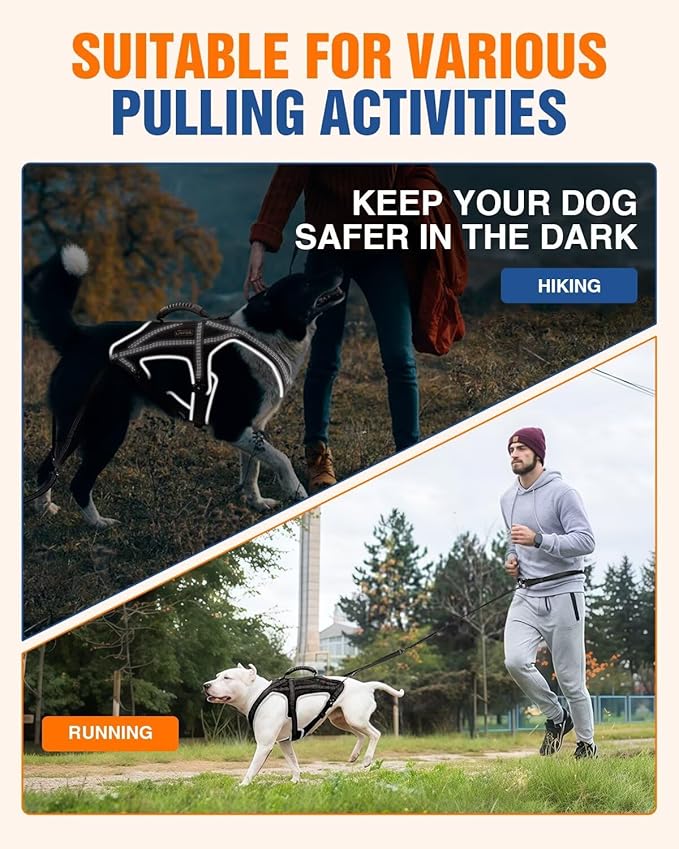 Dog Pulling Harness Set with Waist Belt & Shock-Absorbing Leash, Adjustable Sled Harness for Running, Hiking & Biking, Medium Large Dogs- L Size