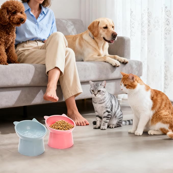 6 Pack Raised Cat Bowls for Indoor Cats, Plastic Elevated Cat Bowls Dishes, 15 Degrees Tilted Cat Food Bowls, Anti-Vomiting and Whisker Friendly, 3 Colors