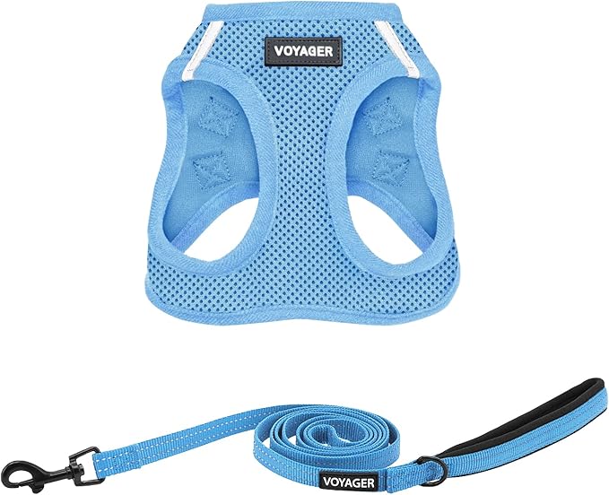 Best Pet Supplies Voyager Step-in Air All Weather Mesh Harness and Reflective Dog 5ft Leash Combo with Neoprene Handle, for Small, Medium and Large Breed Puppies - Set (Baby Blue), X-Small