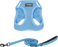 Best Pet Supplies Voyager Step-in Air All Weather Mesh Harness and Reflective Dog 5ft Leash Combo with Neoprene Handle, for Small, Medium and Large Breed Puppies - Set (Baby Blue), Small